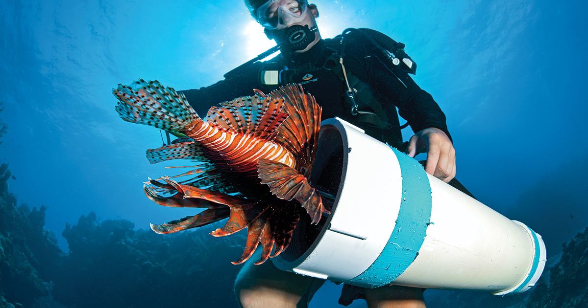 map of martian settlements/oceans